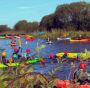 Family and Friends Activity Packages